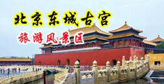 白丝日批高跟鞋喷水中国北京-东城古宫旅游风景区